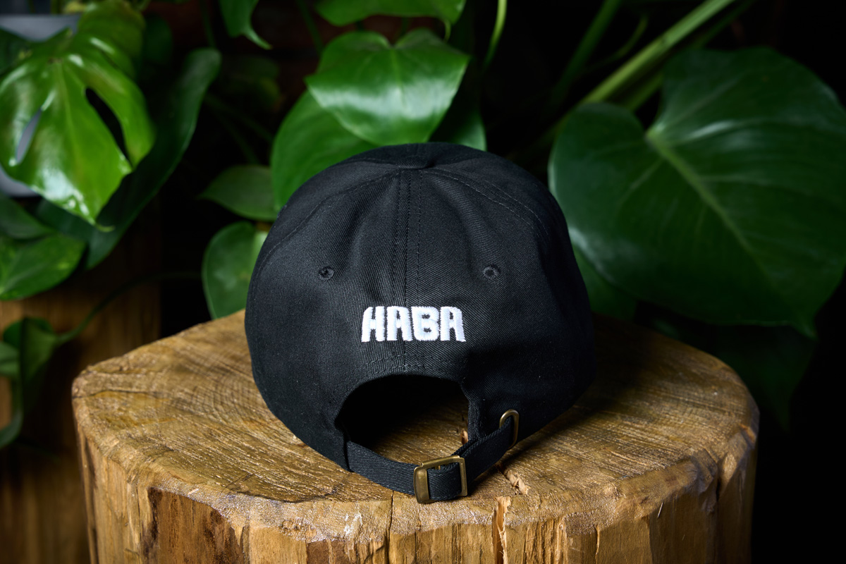 music-cap-1-